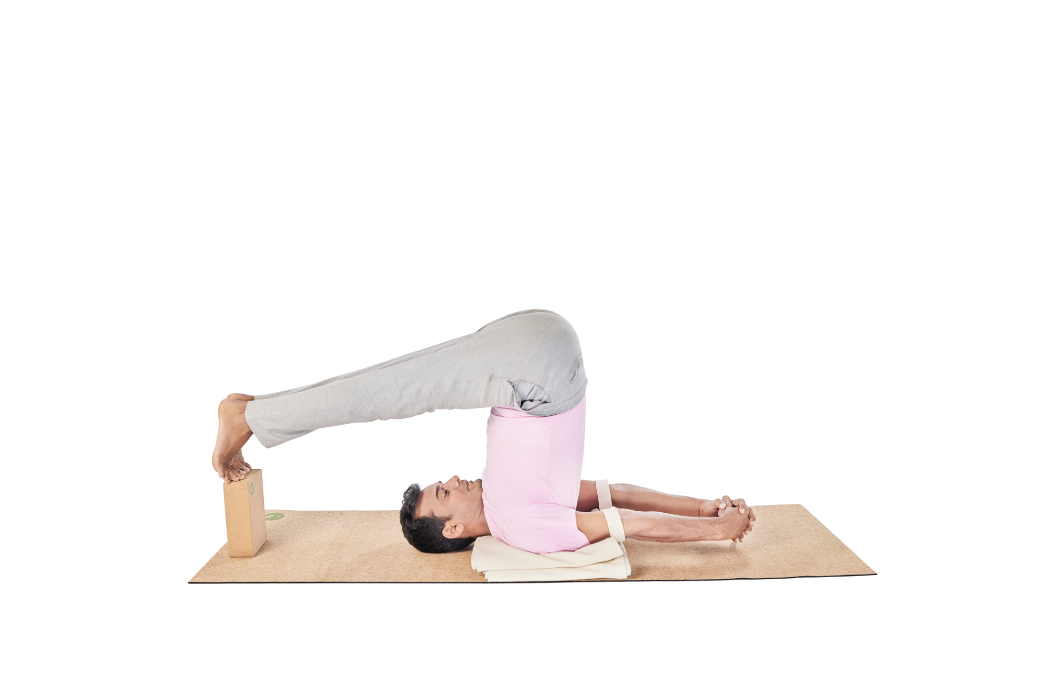 Cork Yoga Block
