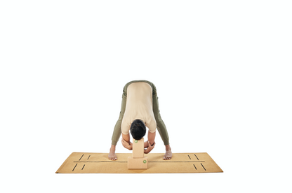 Cork Yoga Block