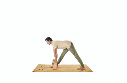 Cork Yoga Block