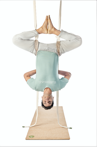 Pelvic Swing (Inversion Belt)