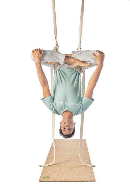 Pelvic Swing (Inversion Belt)