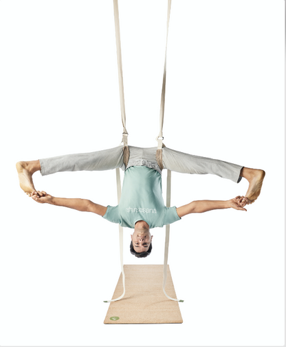 Pelvic Swing (Inversion Belt)