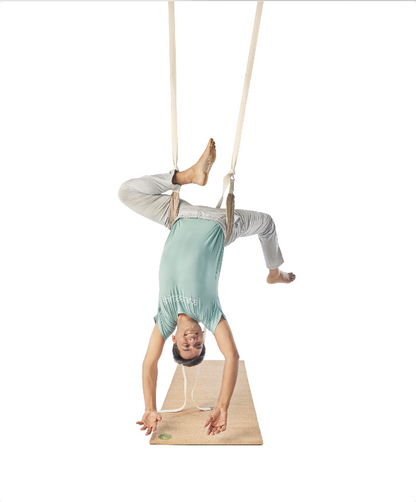 Pelvic Swing (Inversion Belt)