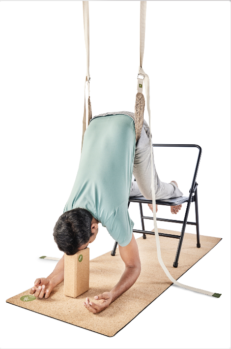 Pelvic Swing (Inversion Belt)